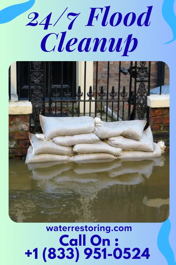 24/7 Flood Cleanup in Harleyville, SC