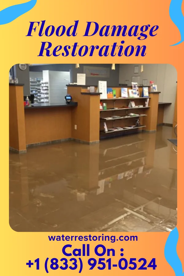 Flood Damage Restoration in Harleyville, SC