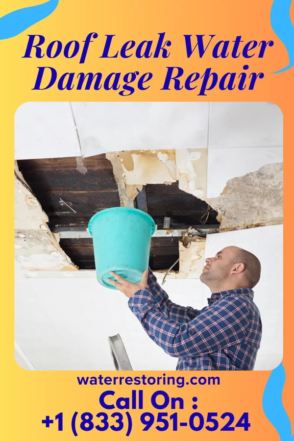 Roof Leak Water Damage Repair in Harleyville, SC