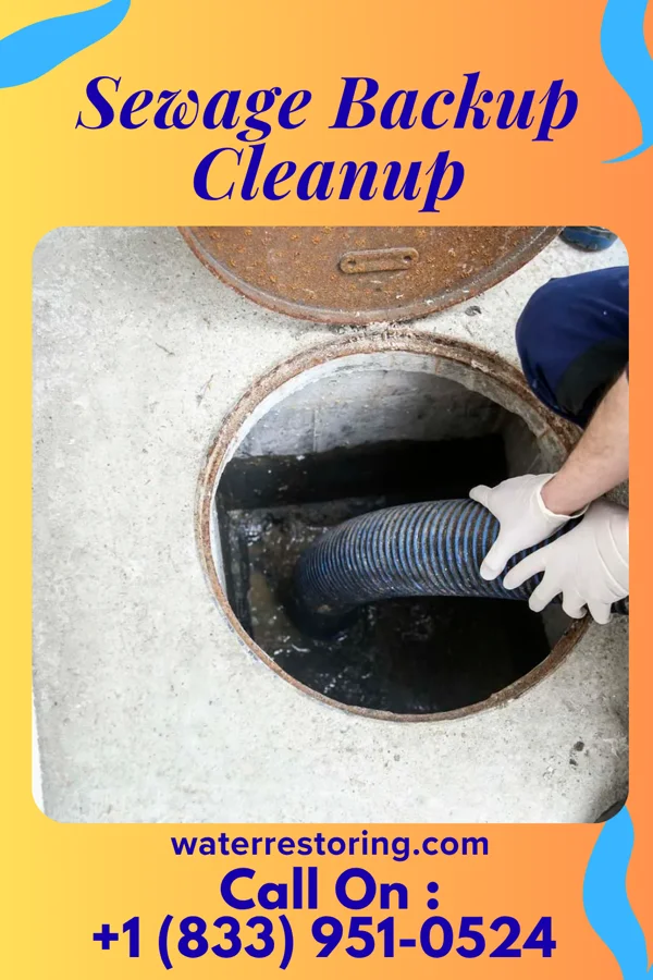 Sewage Backup Cleanup in Harleyville, SC