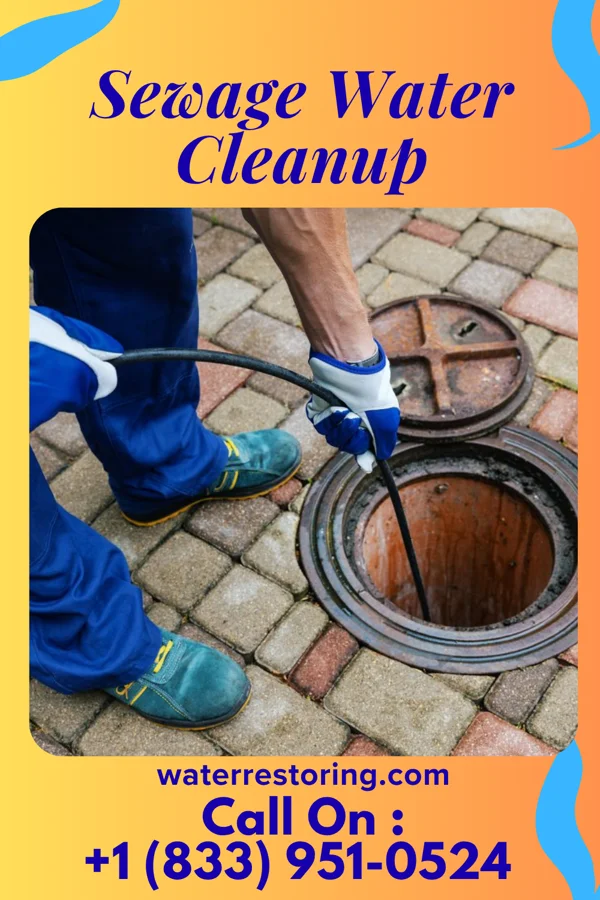 Sewage Water Cleanup in Harleyville, SC